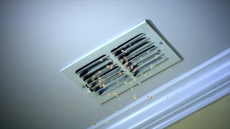 Best Air Vent Cleaning Services  in Montpelier, OH
