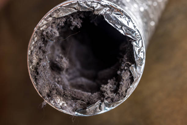 Best Duct Cleaning for Homes  in Montpelier, OH